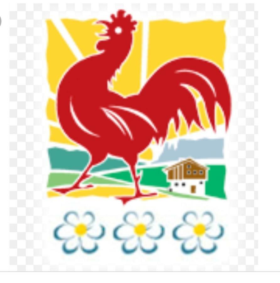 애드리안 Haus Hofer *** 아파트 외부 사진